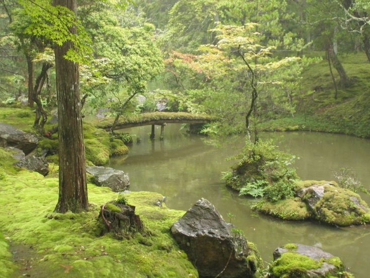 Moss Garden Saiho Ji Kyoto Japan Alma