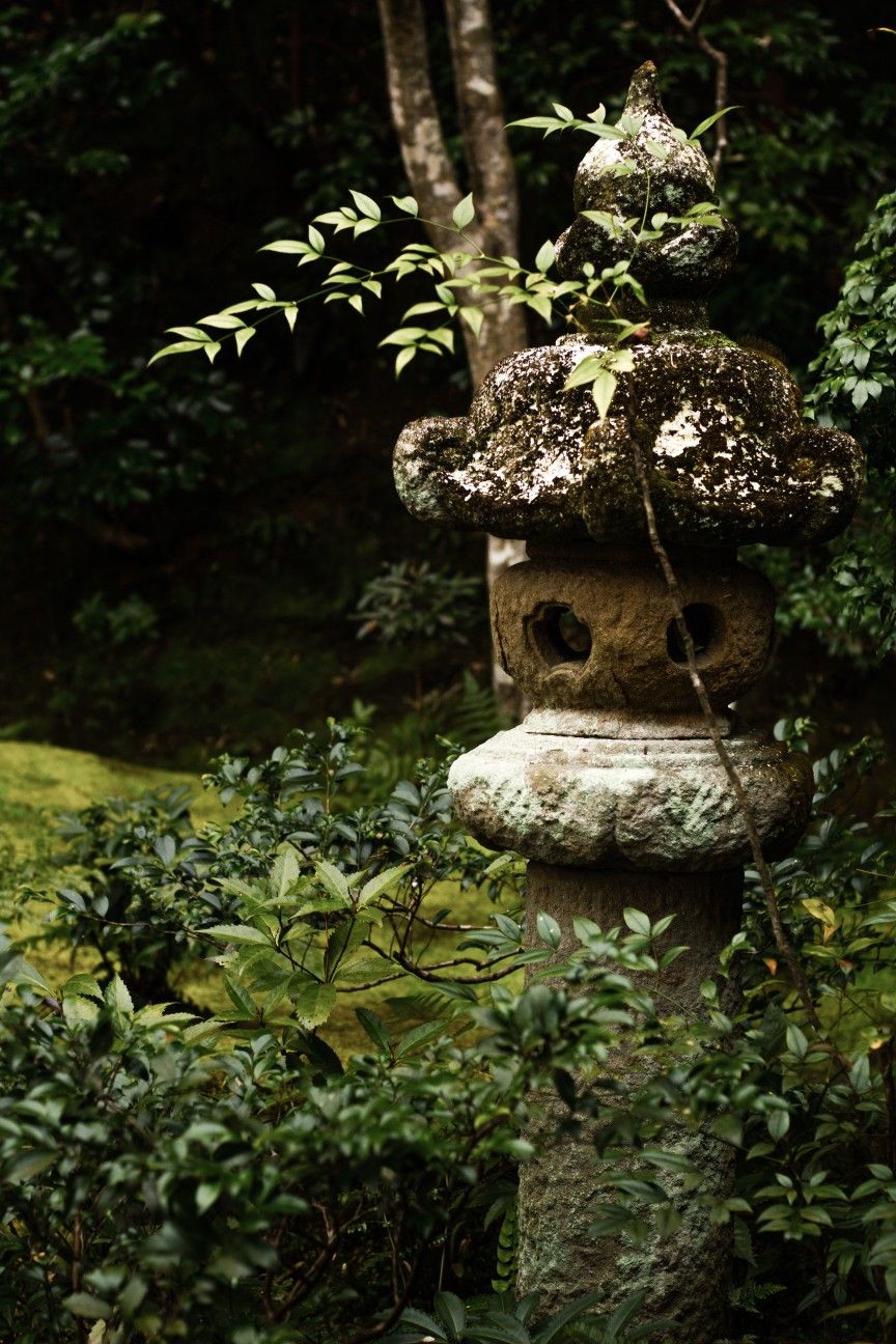 Moss Garden Saihouji Temple