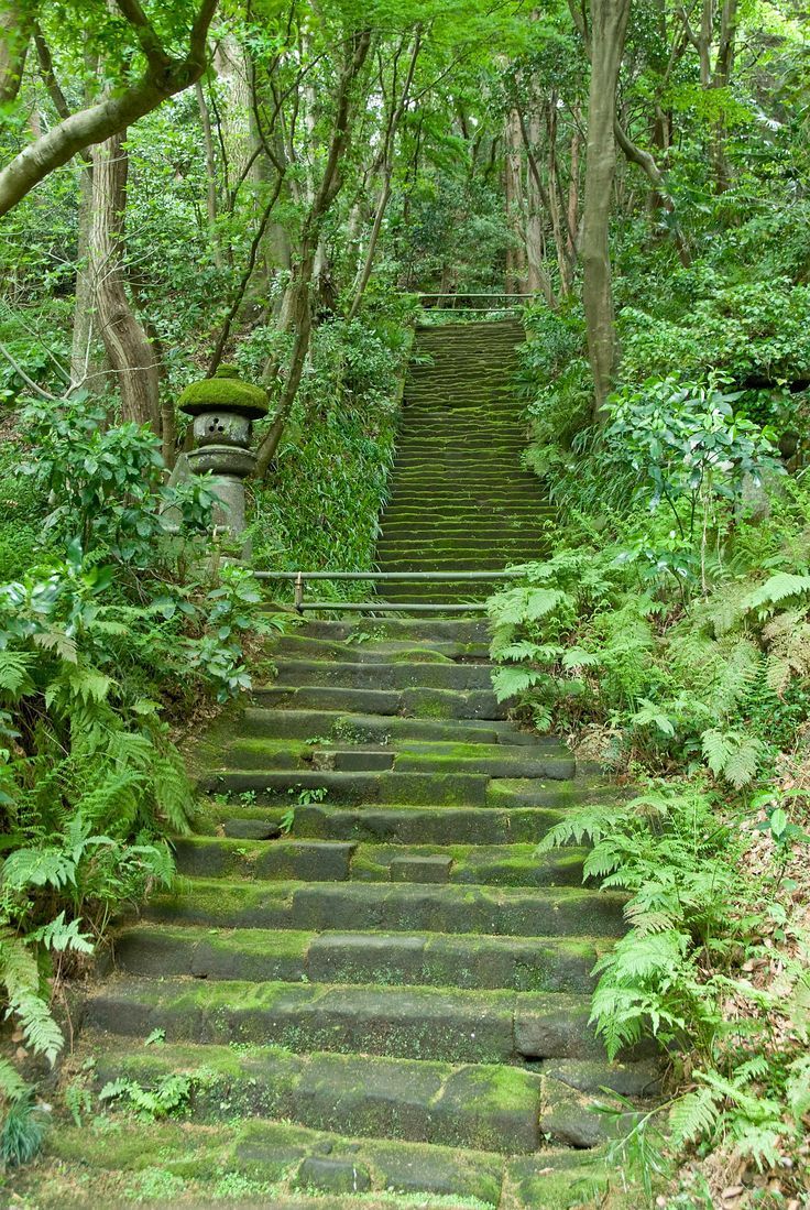 Saiho Ji Temple Kyoto Japan Google Meklana