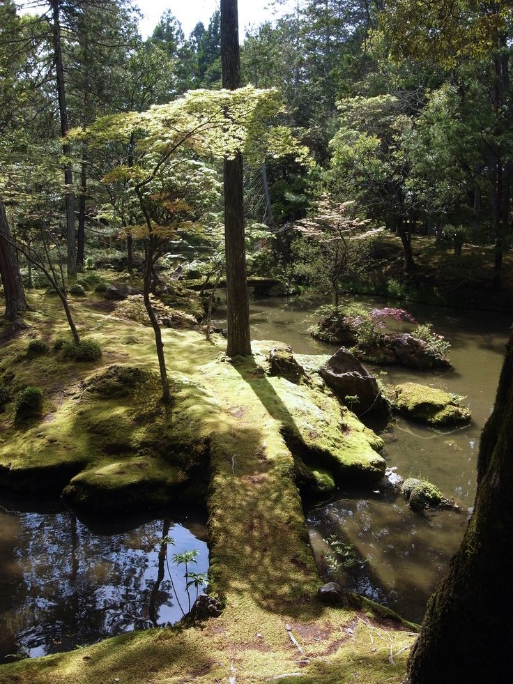 22 Moss Garden Kyoto Ideas For This Year SharonSable