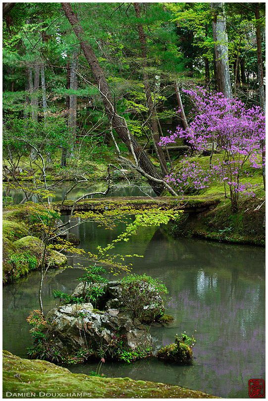 Px Japanese Garden