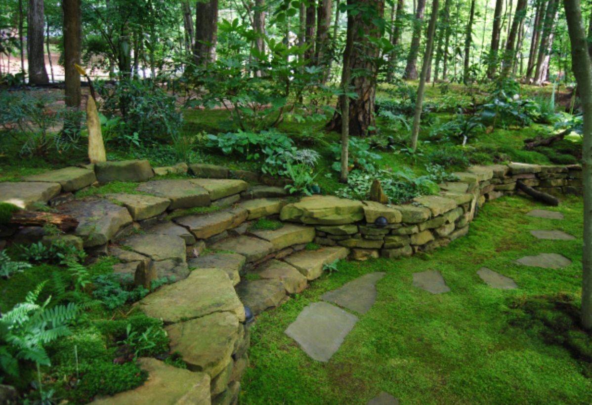 Moss Garden Moss Garden