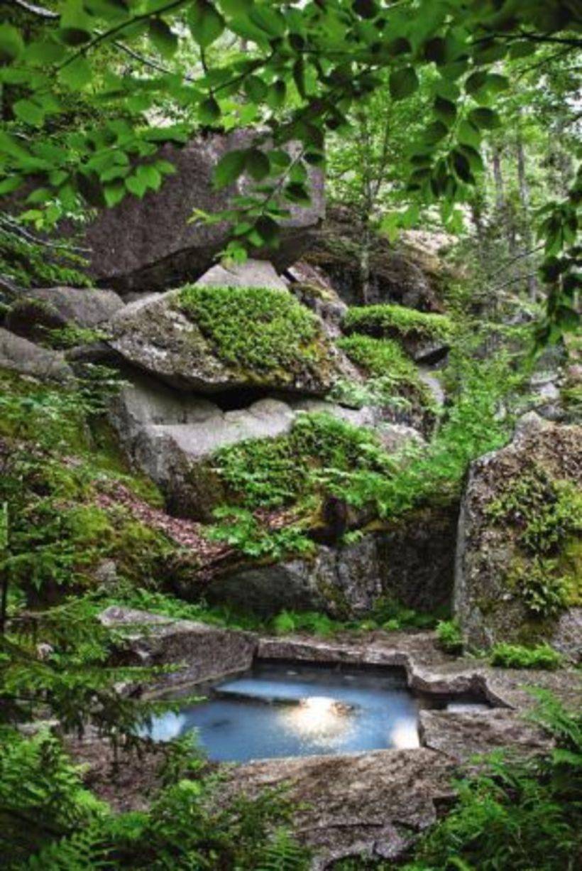 A Japanese Moss Garden