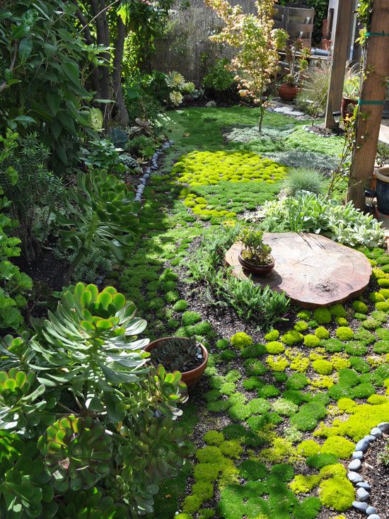 Nice Beautiful Moss Gardening Ideas