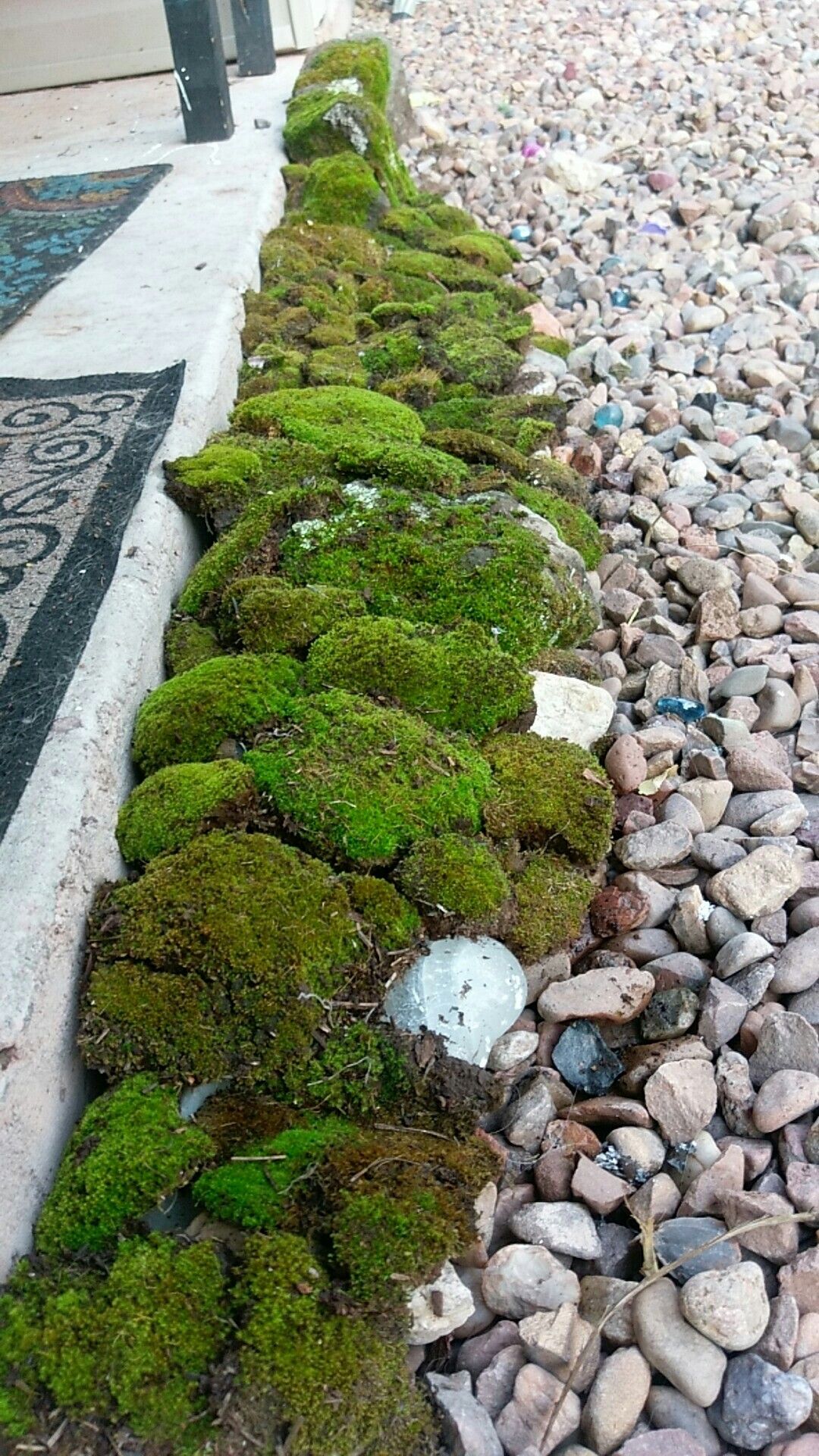 Wonderful Moss Garden