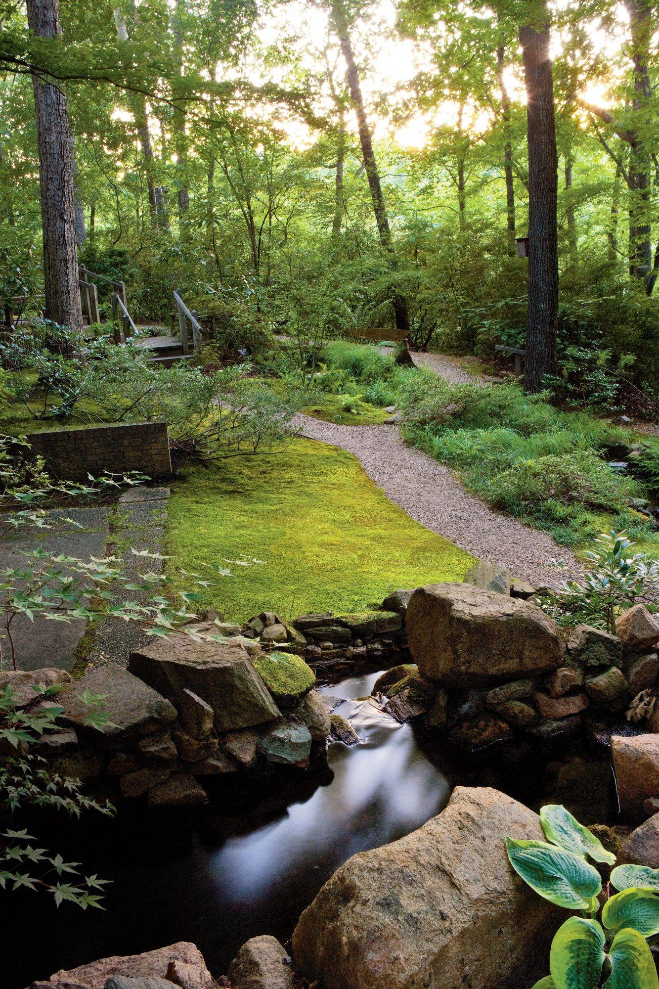 An Outdoor Garden