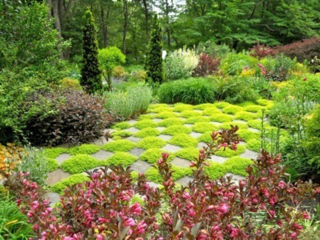 A Moss Lawn Southern Living