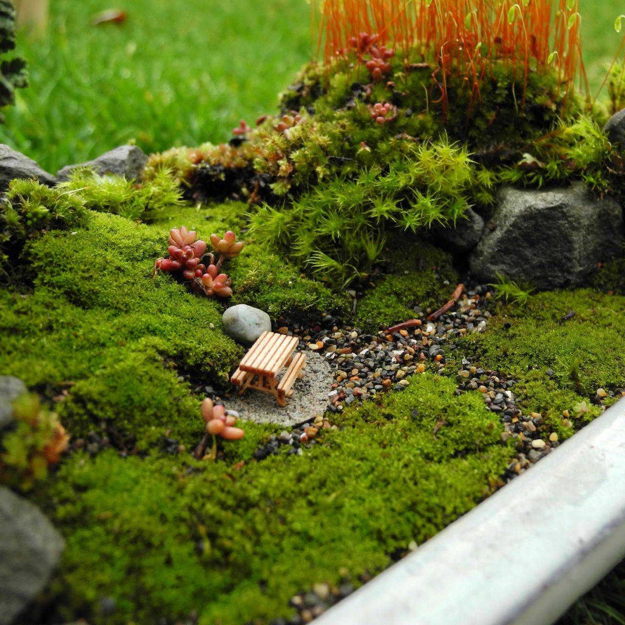 Dish Garden Planter Ideas Home Inspirations Moss Garden