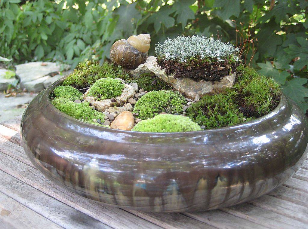 24 Small Moss Garden Ideas Worth a Look SharonSable