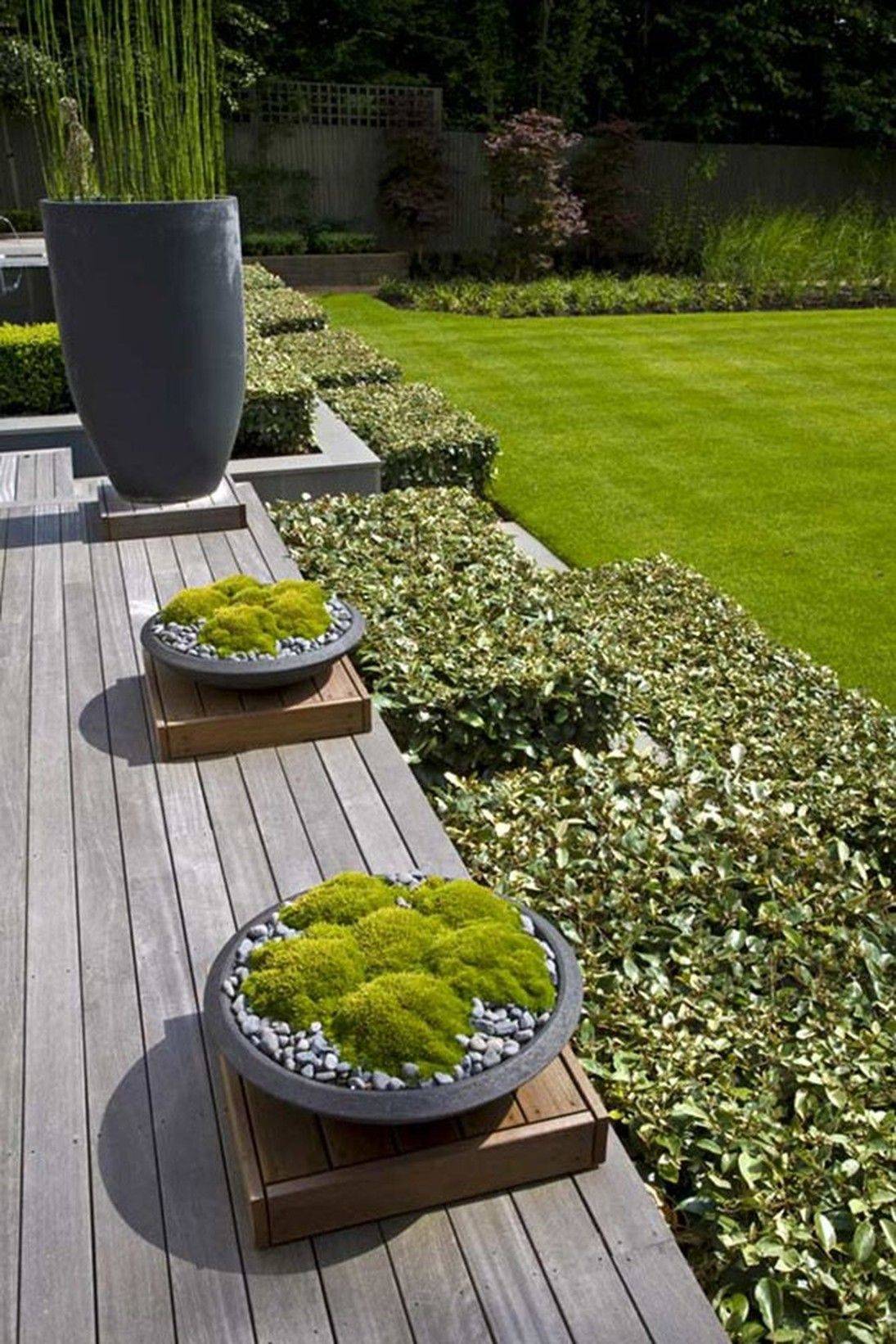 The Moss Garden Moss Garden