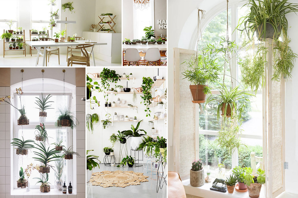 Amazing Indoor Garden Design Ideas