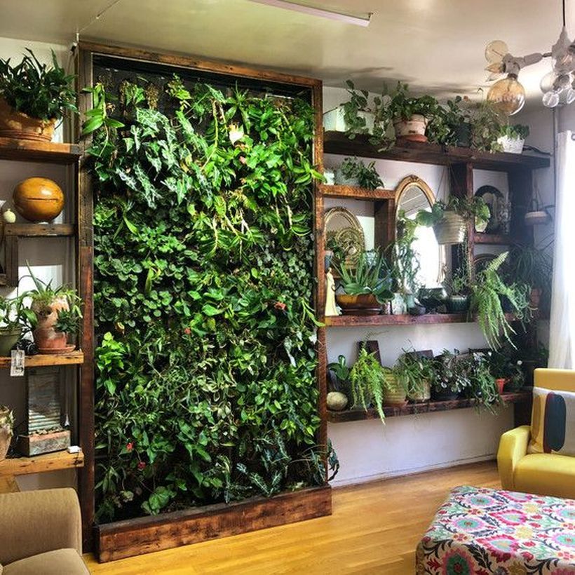 Your Dream Indoor Garden Ideas