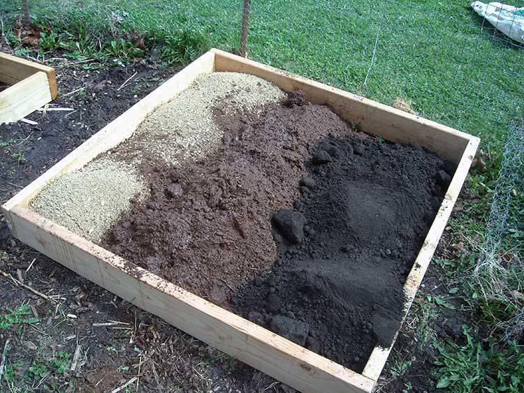 These Coco Peat Benefits