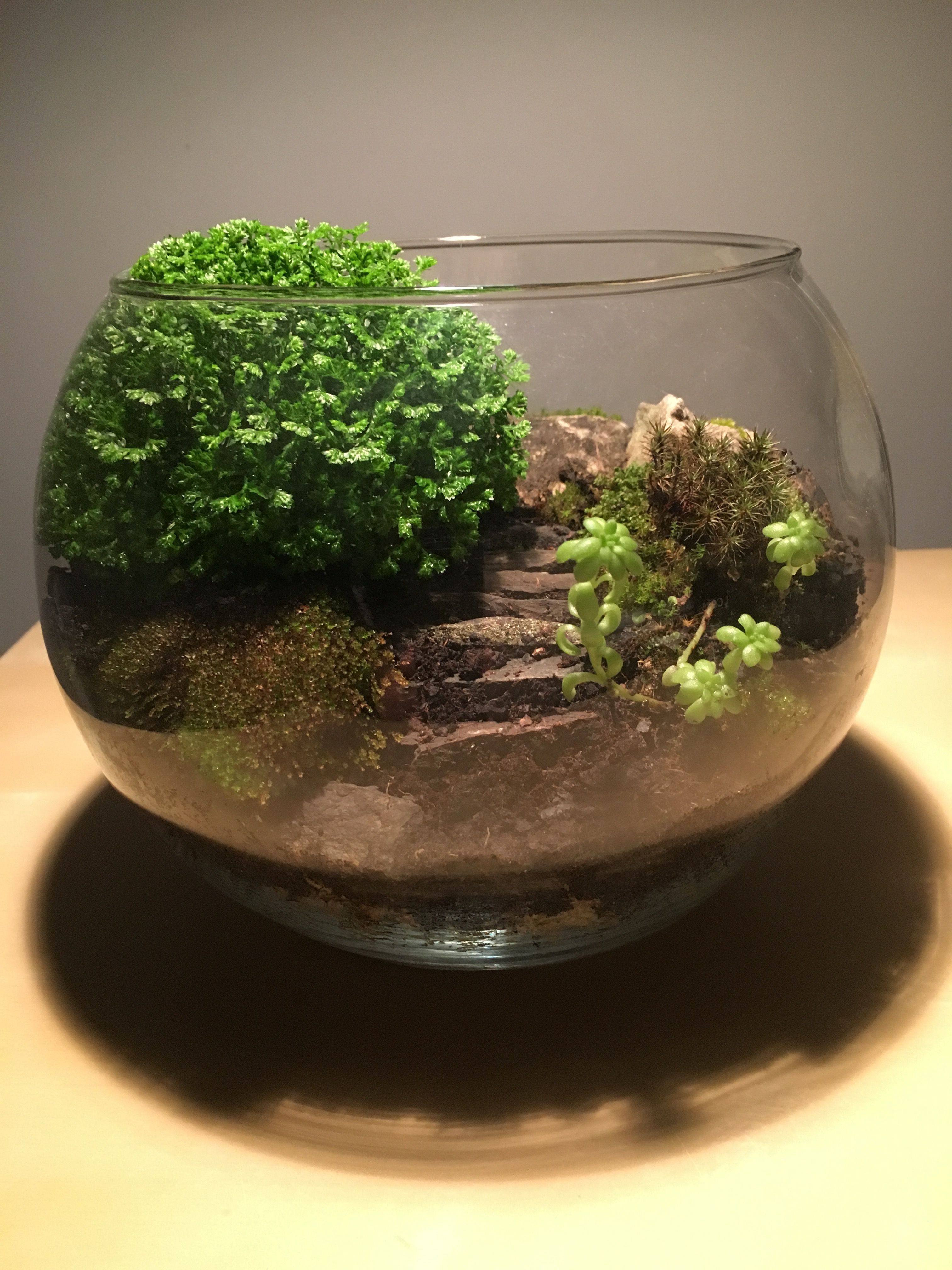 Mini Garden
