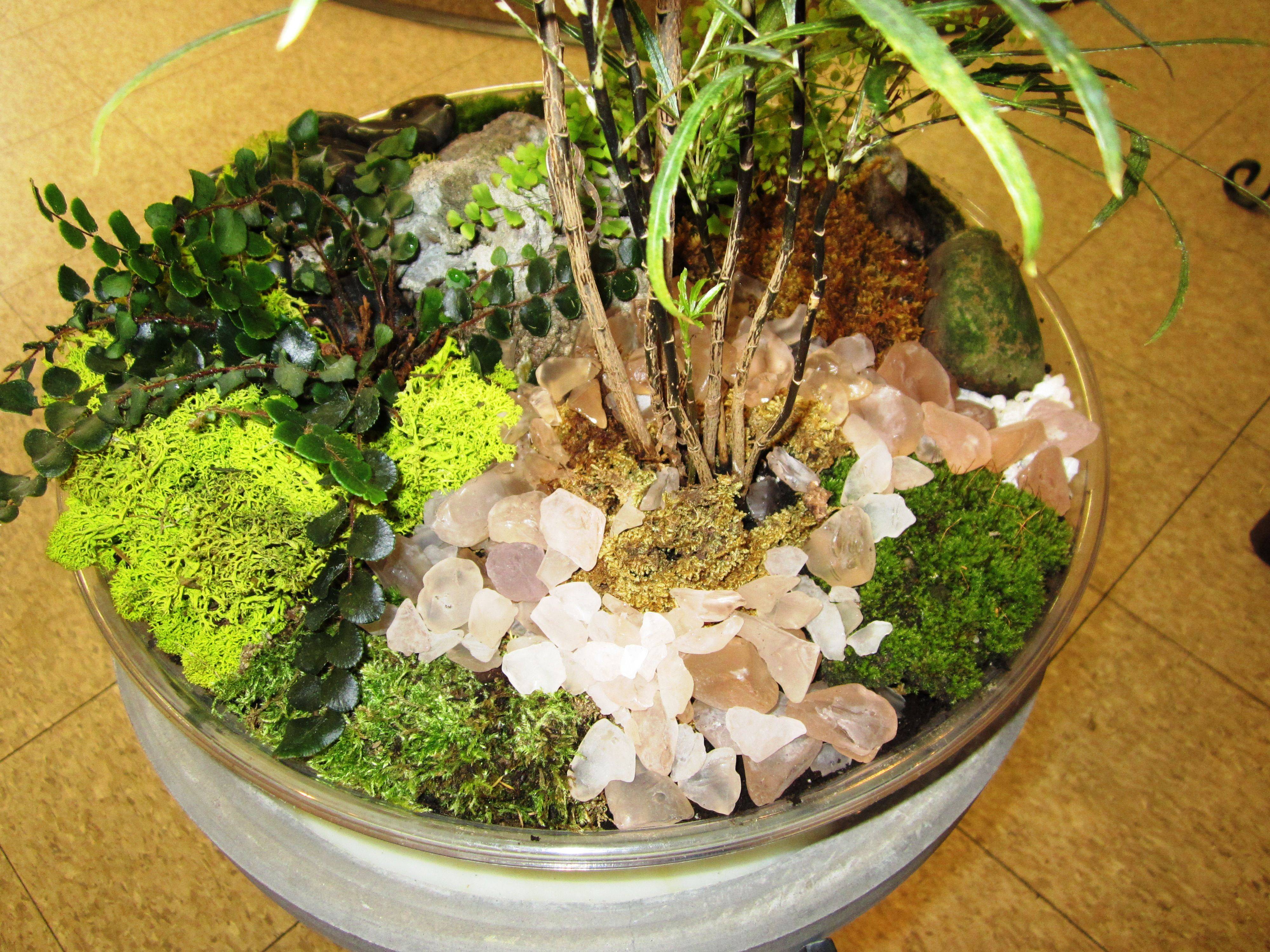 Moss Planters Moss Garden