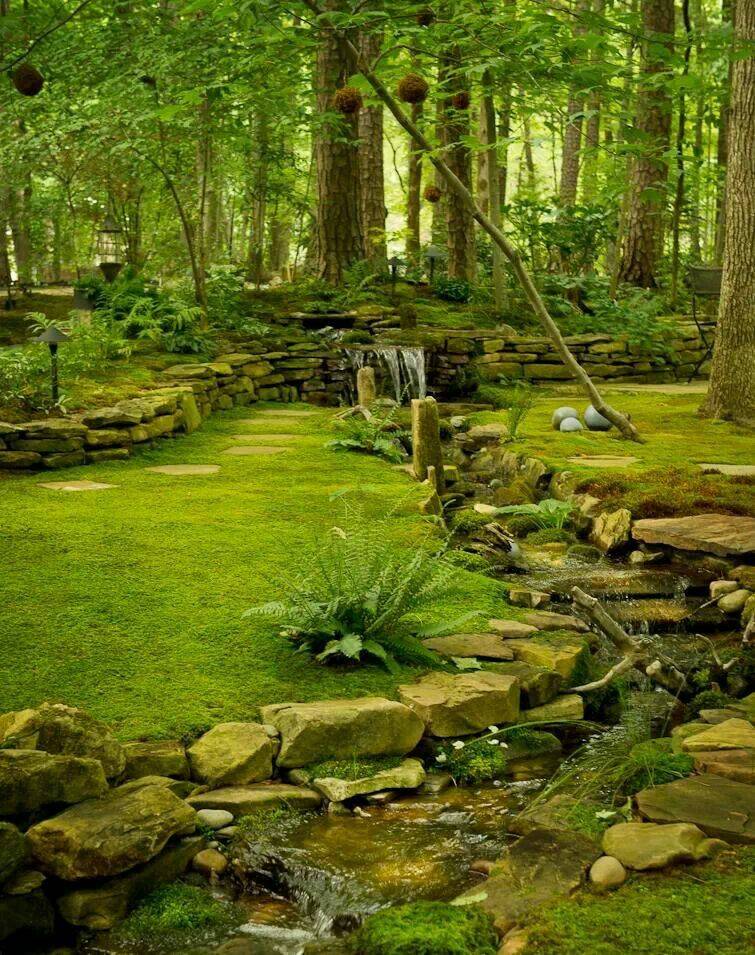 Ireland Gardenista