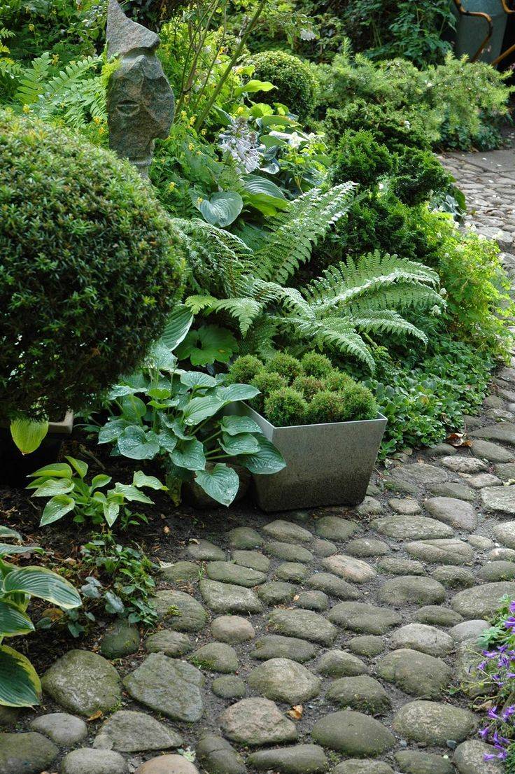 Shade Garden Plants