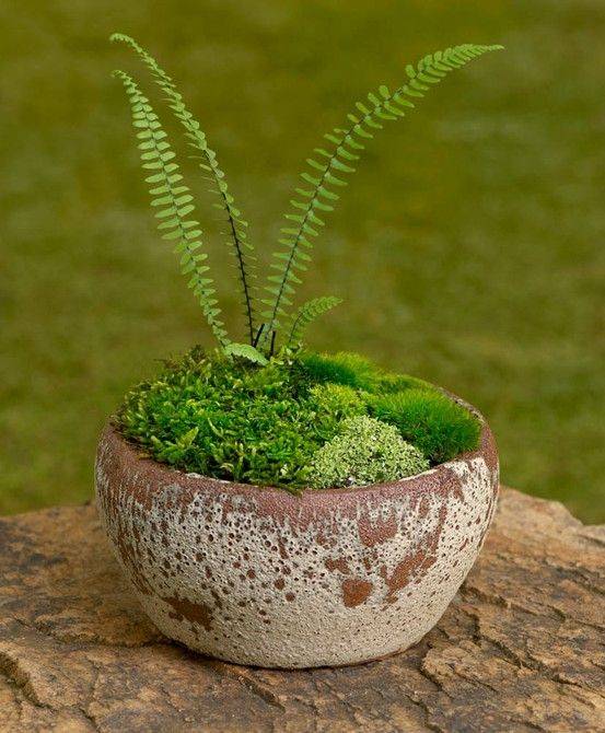 Landscape Architecture
