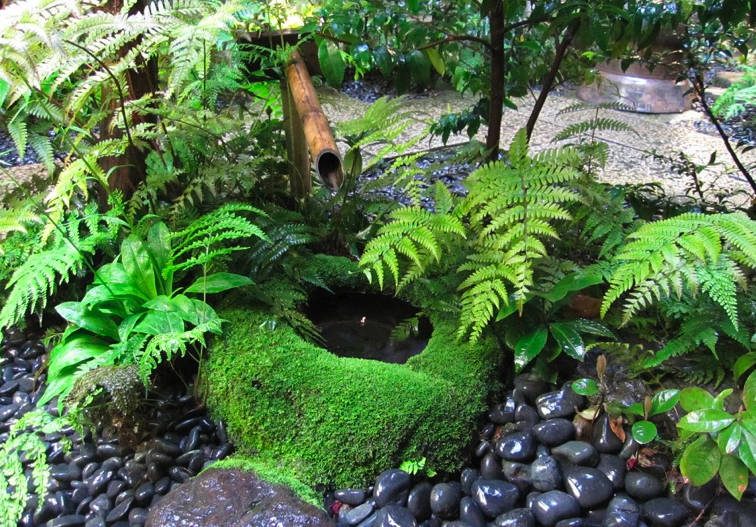 Fav Flowersplantsgarden Ideas
