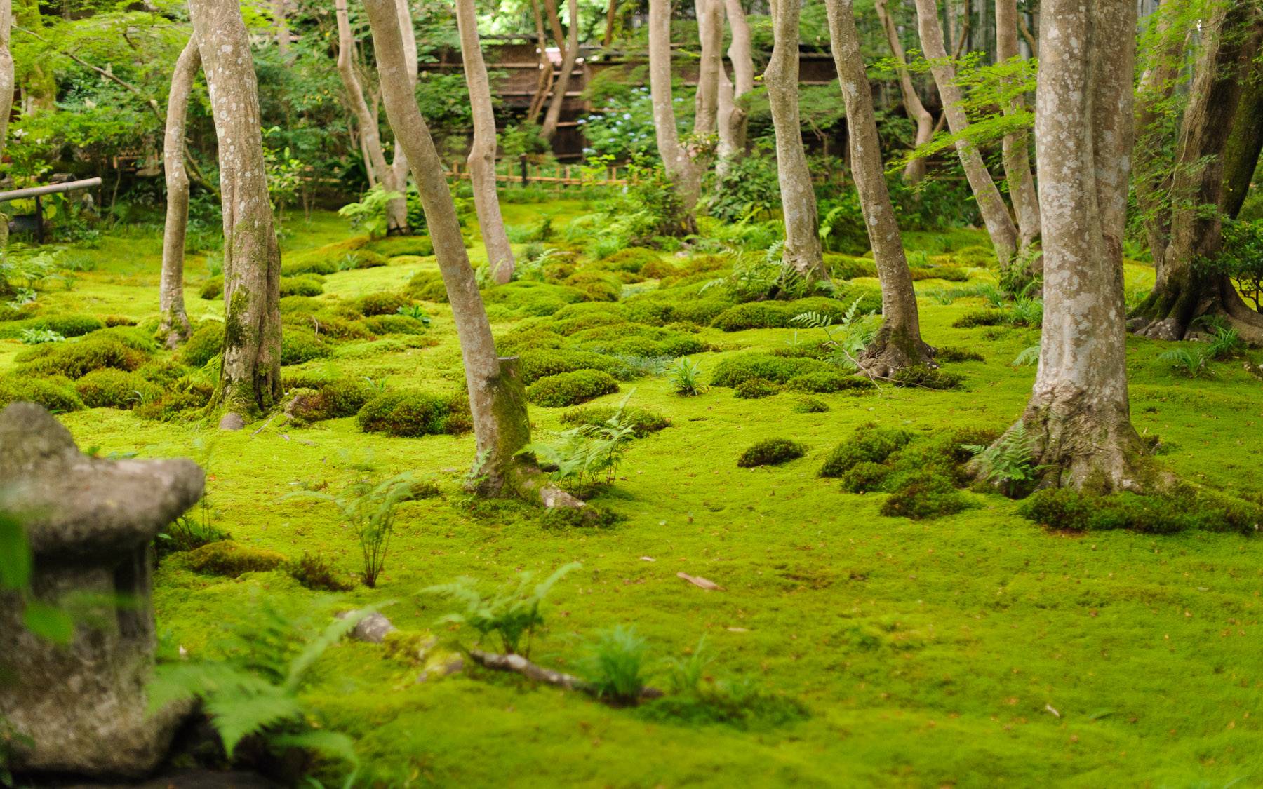 Beautiful Gardens