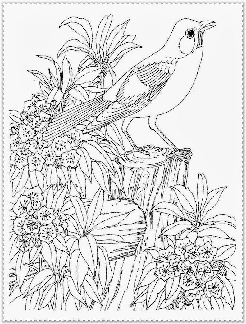 Free Coloring Pages Printable Pictures