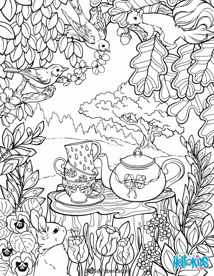 Garden Coloring Pages Idea Whitesbelfast