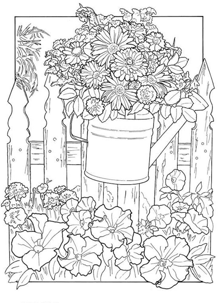 Dover Publications