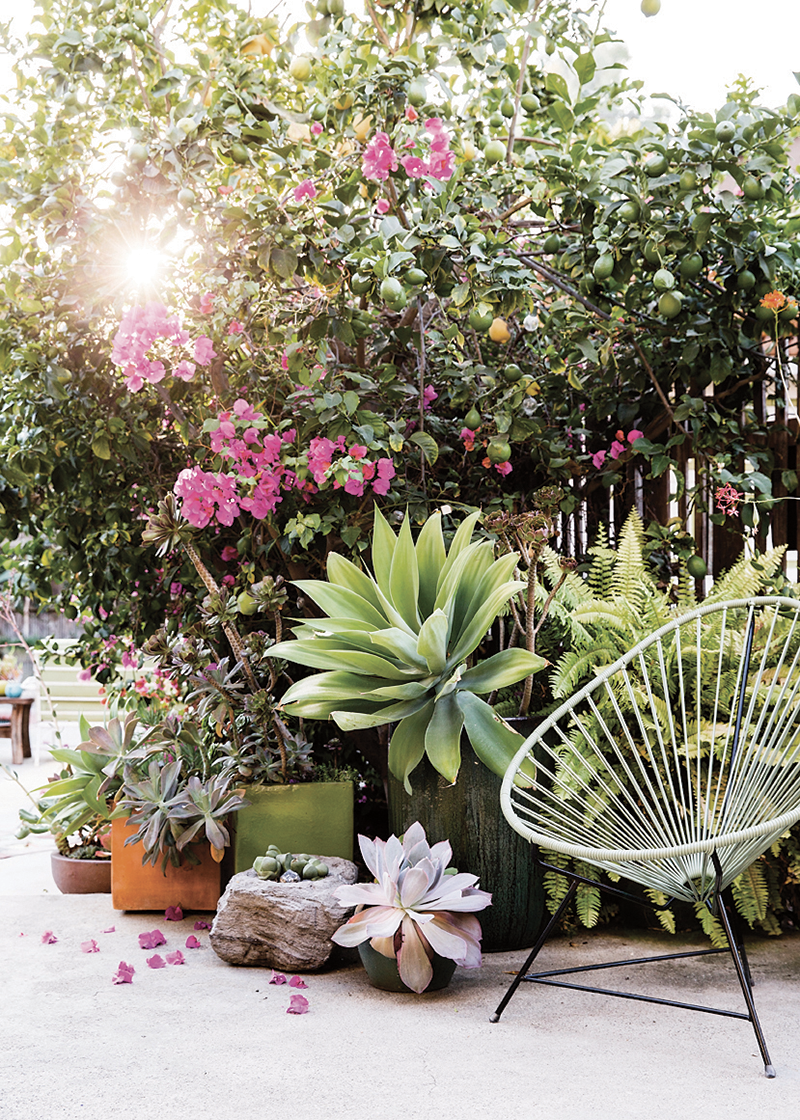 Garden Landscaping And Design Ideas Sunset Magazine