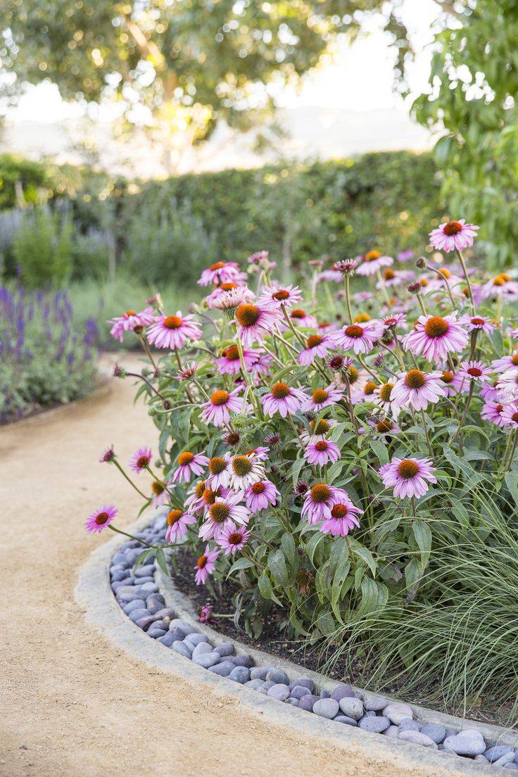 Garden Landscaping And Design Ideas Sunset Magazine