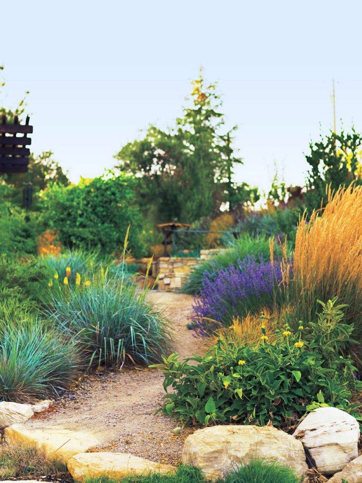 Garden Landscaping And Design Ideas Sunset Magazine