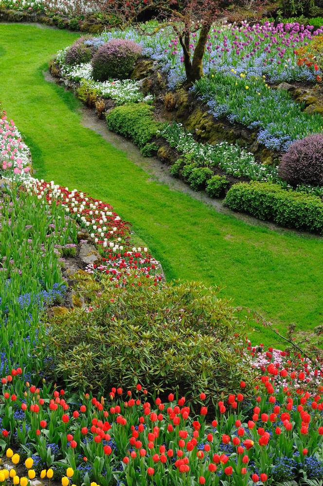 Beautiful Spring Gardening Ideas