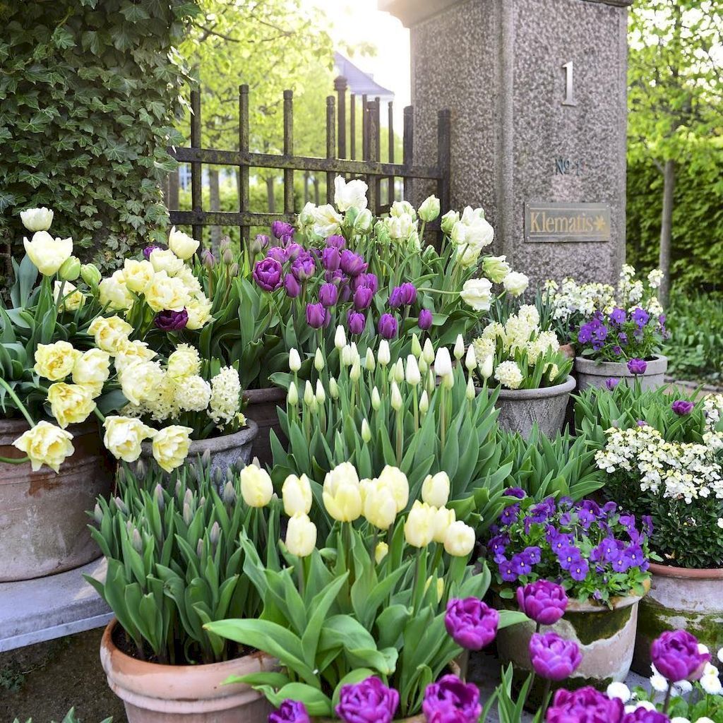 Spring Garden Yard Ideas