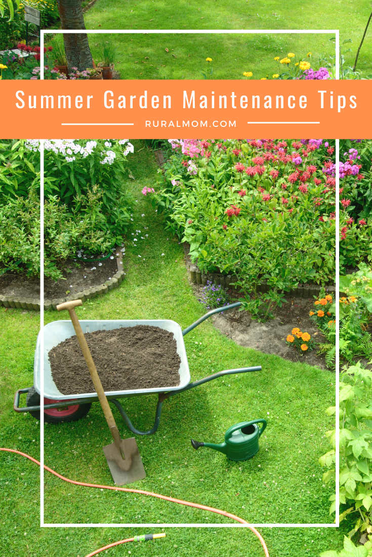Summer Garden Tips Hamburg Ny