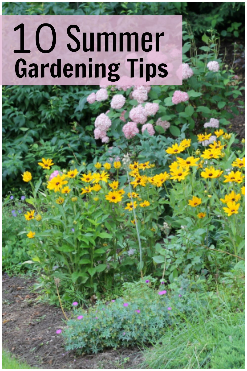 Your Home Garden Summer Garden