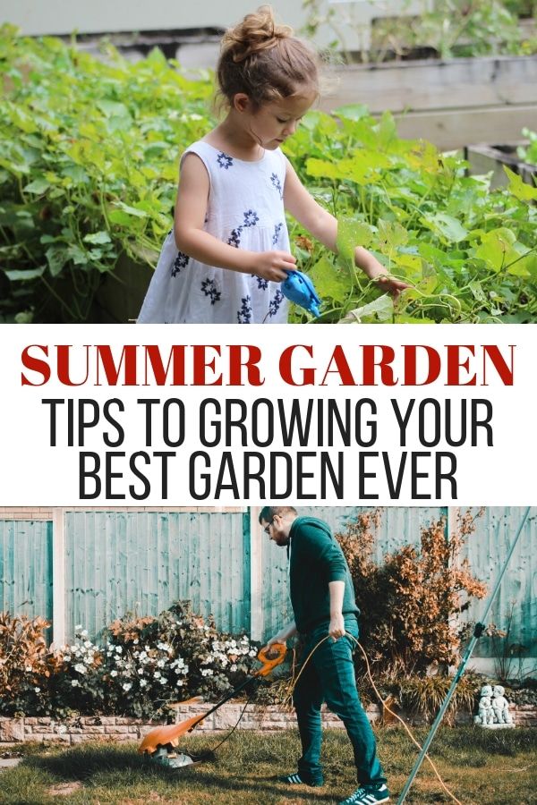 Summer Gardening Tips