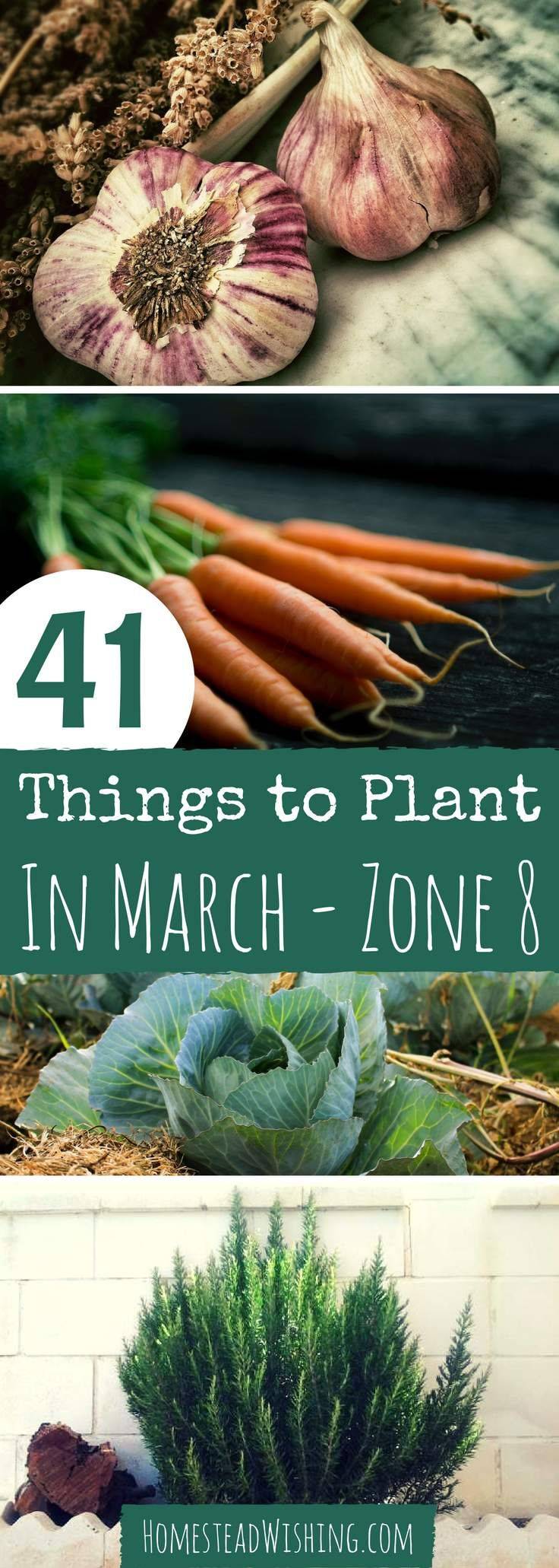 Bries Gardening Ideas