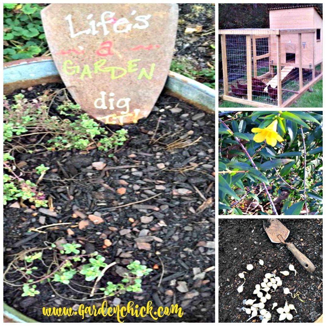Garden Landscape Design Ideas Australia