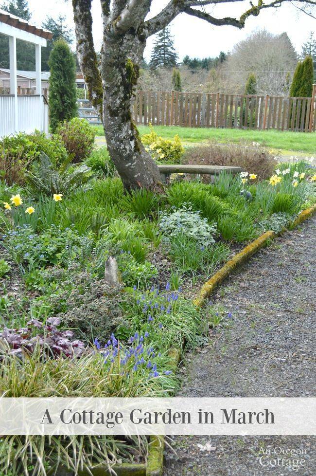 Your Region Garden Tasks