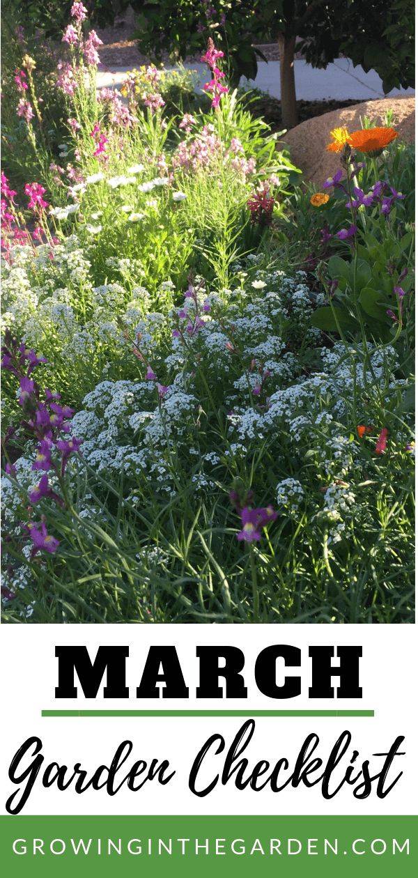 March Gardening Tips