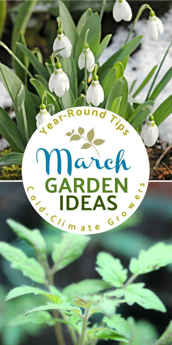 Spring Gardening
