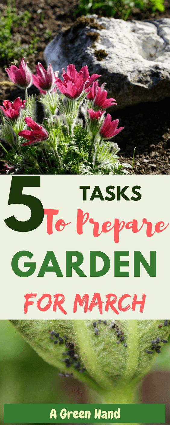 Diy Garden Projects