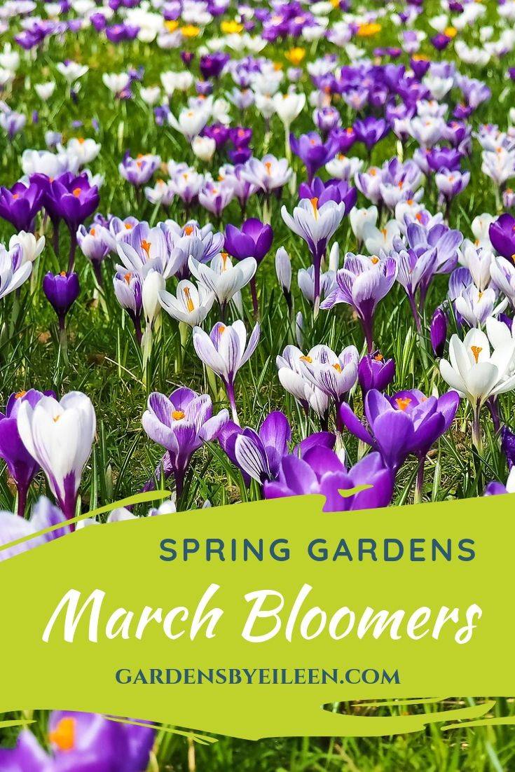 March