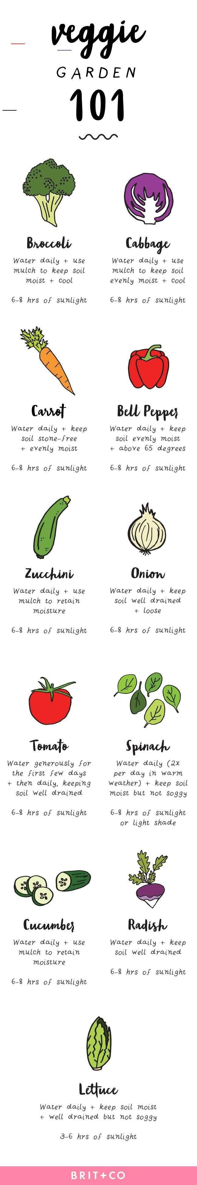 Midwest Planting Guide