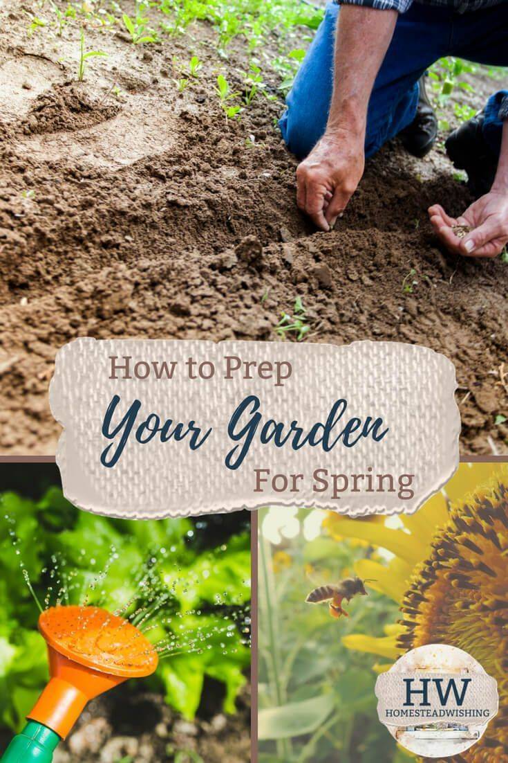 19 Printable Spring Gardening Tips Ideas Worth A Look Sharonsable