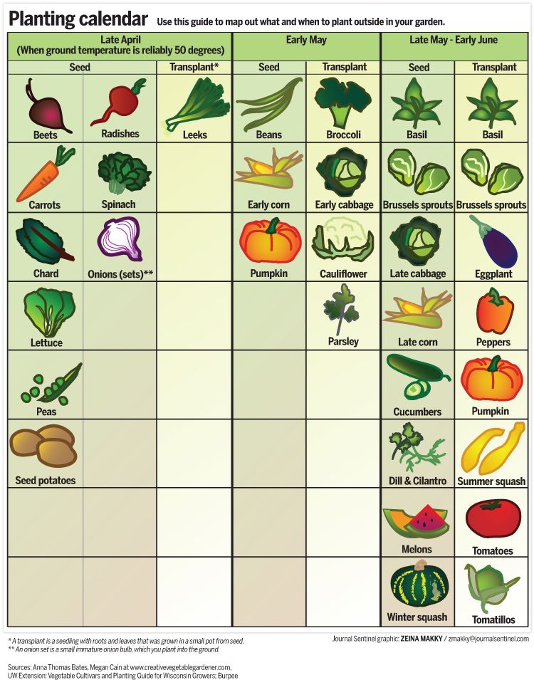 Vegetable Planting Chart