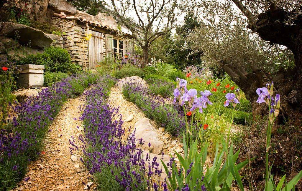 Olive Tree Terrace Small Gardens Ideas
