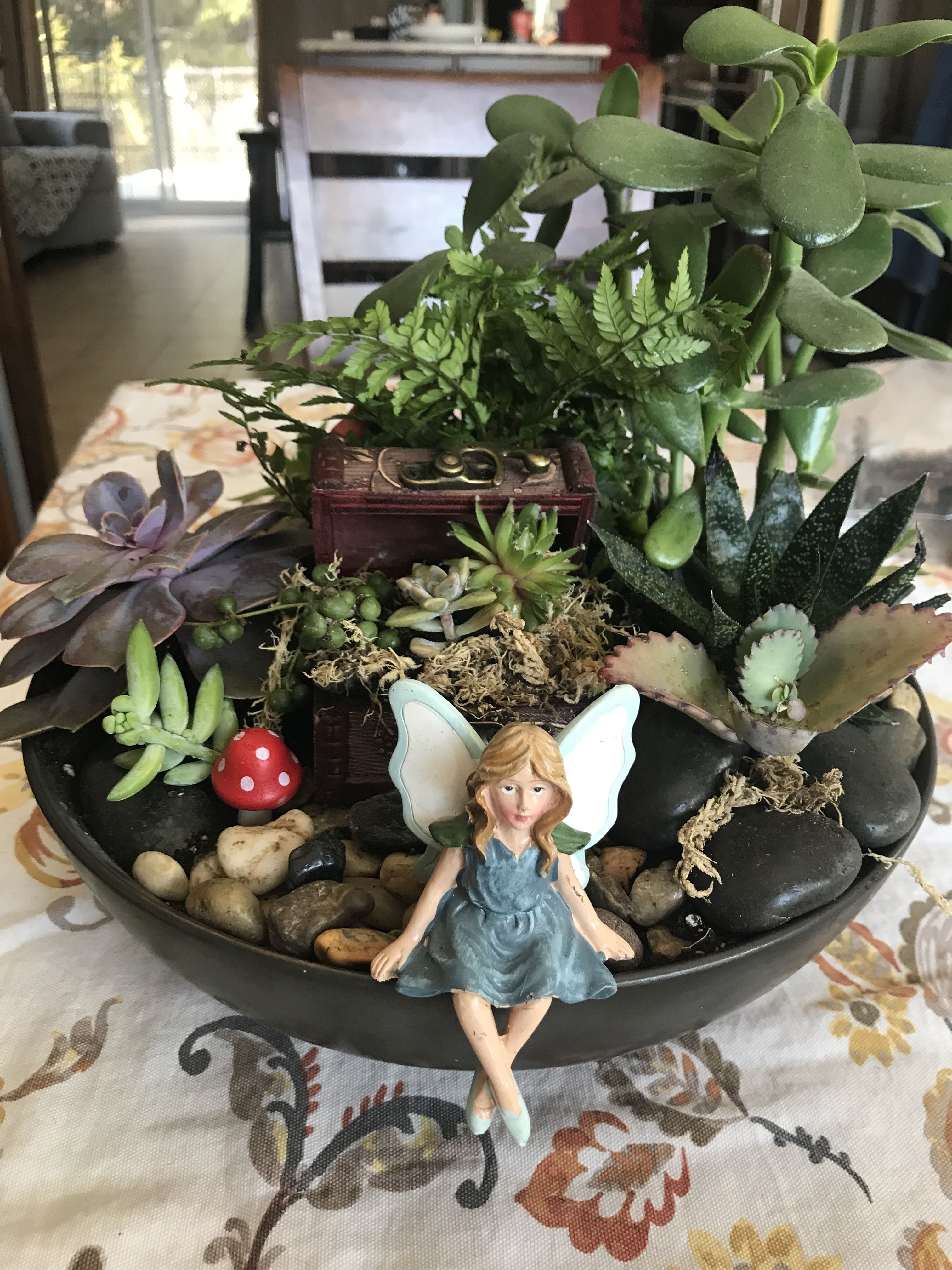 Outdoor Succulent Planter Ideas