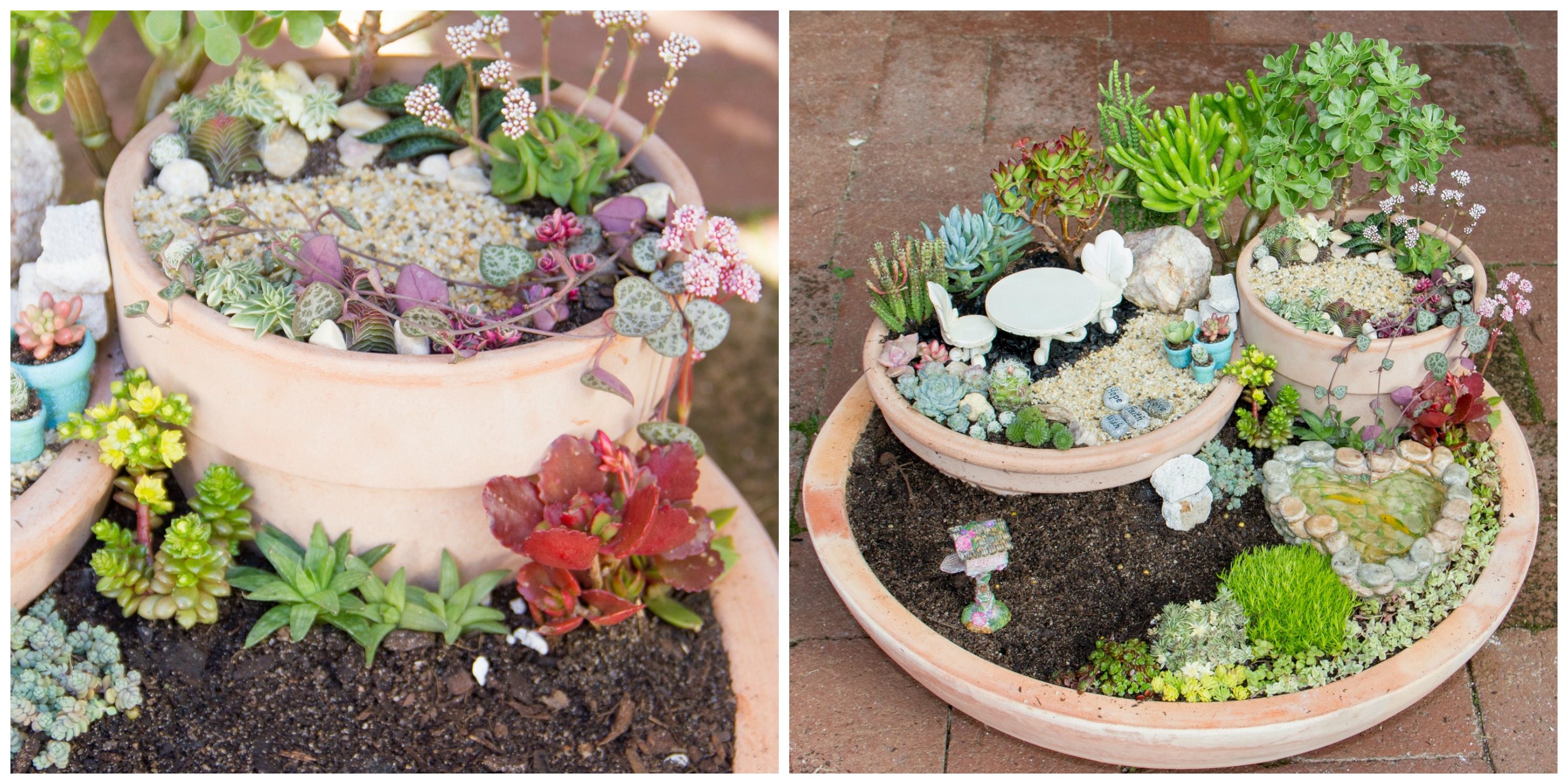 Backyard Fairy Garden Fairy Garden