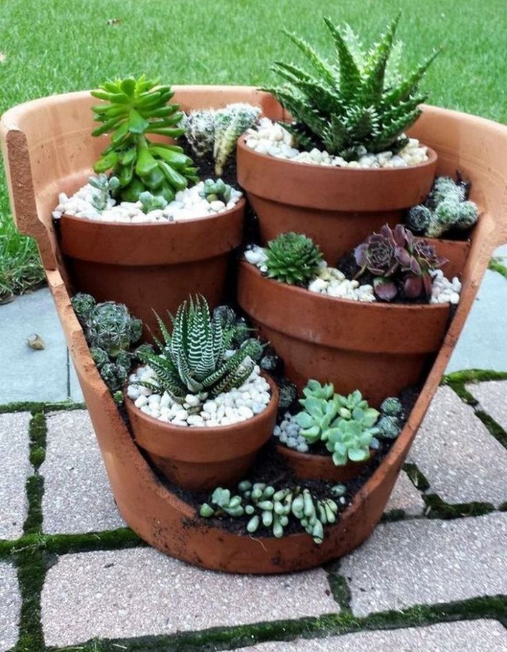 Creative Indoor And Outdoor Succulent Garden Ideas