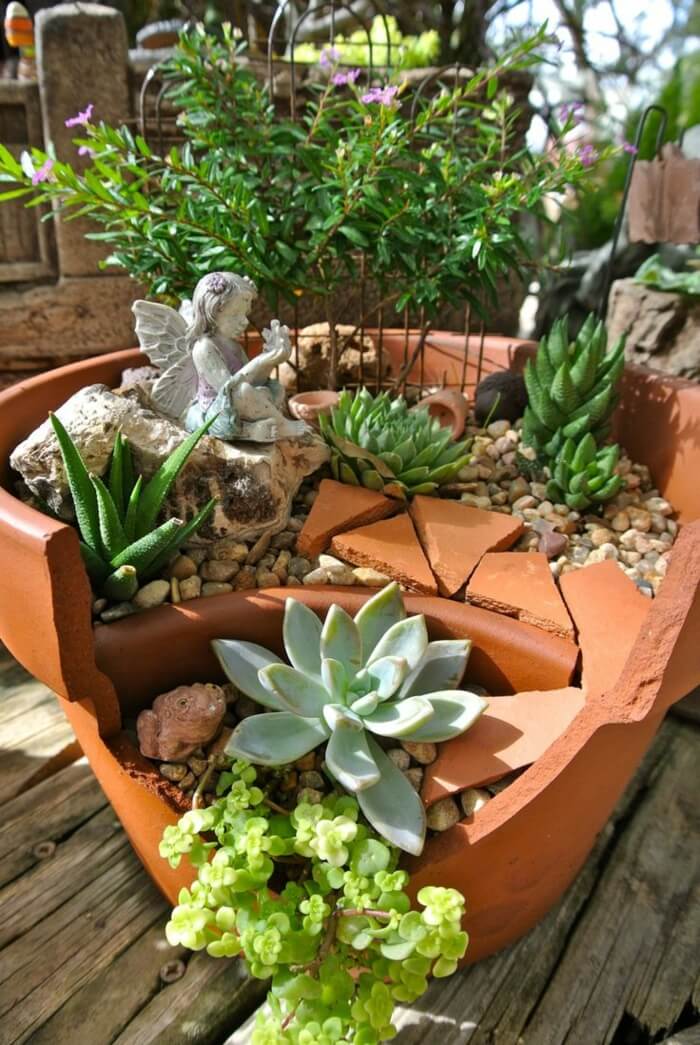 Designing Mini Succulent Gardens